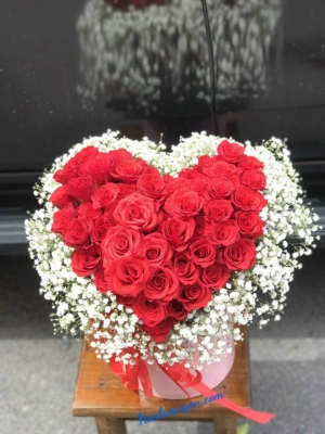 Hộp hoa hồng đỏ - trái tim